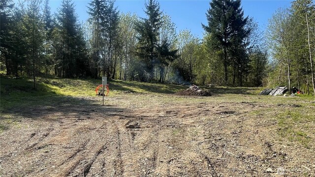 2103 150th Ln SE, Tenino, WA 98589 - photo 17