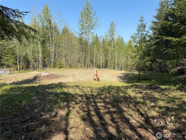 2103 150th Ln SE, Tenino, WA 98589 - photo 3