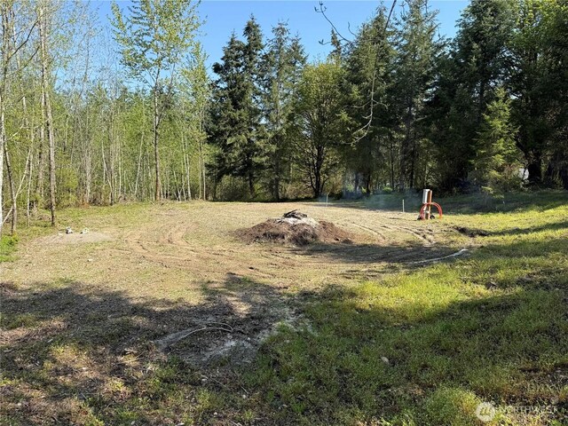 2103 150th Ln SE, Tenino, WA 98589 - photo 10