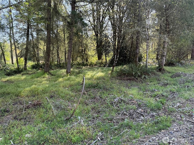 2103 150th Ln SE, Tenino, WA 98589 - photo 5