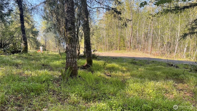 2103 150th Ln SE, Tenino, WA 98589 - photo 7