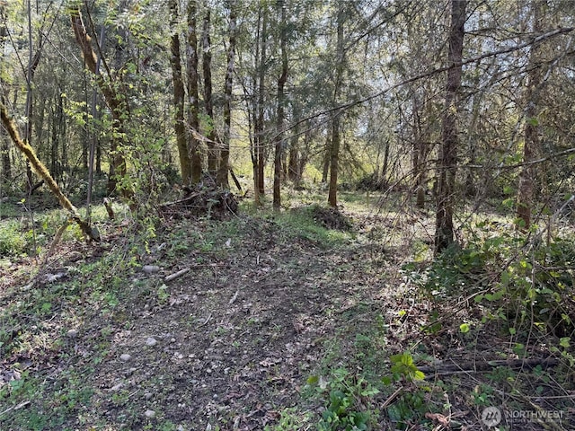 2103 150th Ln SE, Tenino, WA 98589 - photo 8