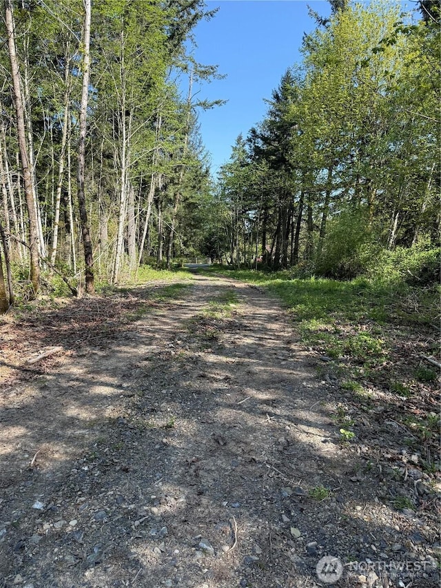 2103 150th Ln SE, Tenino, WA 98589 - photo 12