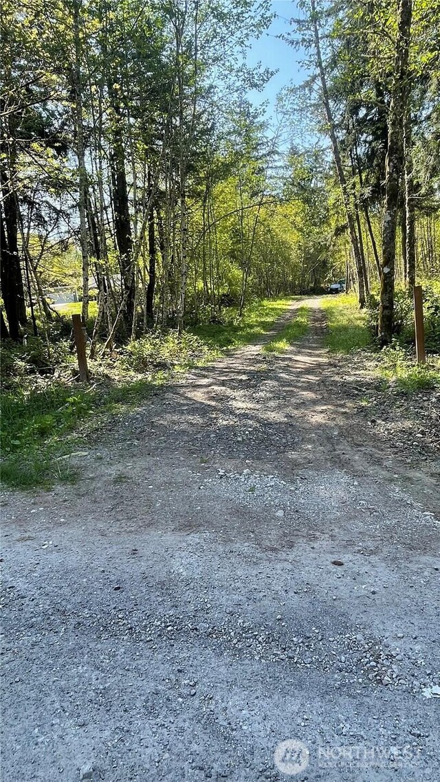 2103 150th Ln SE, Tenino, WA 98589 - photo 14