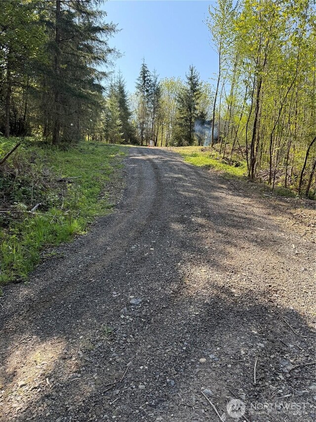 2103 150th Ln SE, Tenino, WA 98589 - photo 16
