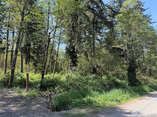 2103 150th Ln SE, Tenino, WA 98589 - photo 13