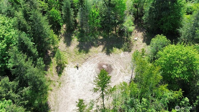 2103 150th Ln SE, Tenino, WA 98589 - photo 2