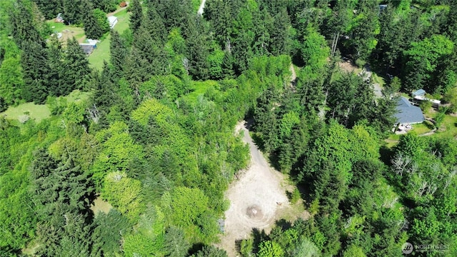 2103 150th Ln SE, Tenino, WA 98589 - photo 23