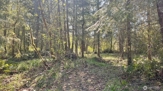 2103 150th Ln SE, Tenino, WA 98589 - photo 19