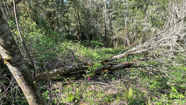 2103 150th Ln SE, Tenino, WA 98589 - photo 21