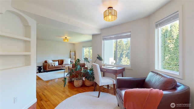 living room featuring wood finished floors