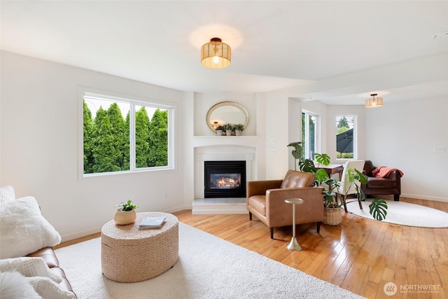 3416 189th St SE, Bothell, WA 98012 - living area featuring baseboards, a glass covered fireplace, and wood finished floors