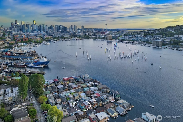 aerial view of property's location featuring a large body of water and a skyline view