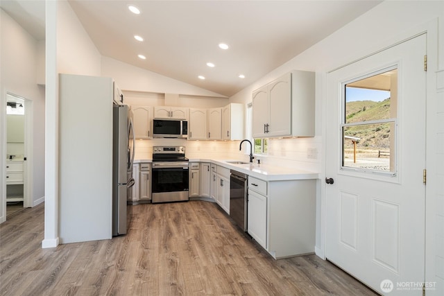 10 Spring Canyon Rd, Orondo, WA 98843 - kitchen with appliances with stainless steel finishes, a sink, lofted ceiling, tasteful backsplash, and light wood-style flooring