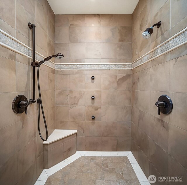 2045 250th Pl NE, Sammamish, WA 98074 - full bathroom with tiled shower