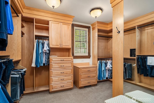 2045 250th Pl NE, Sammamish, WA 98074 - spacious closet featuring light carpet