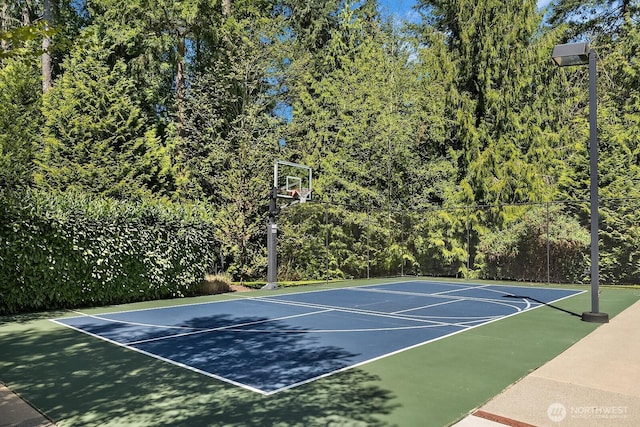 2045 250th Pl NE, Sammamish, WA 98074 - view of sport court with basketball hoop