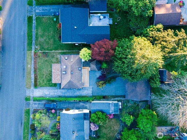 aerial view