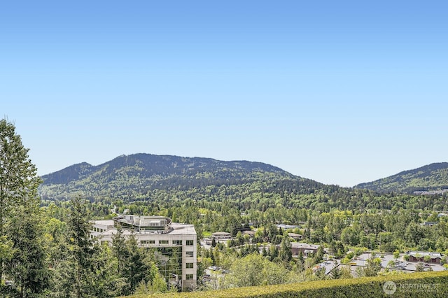 view of mountain backdrop with a forest