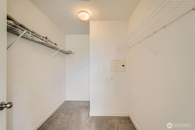 walk in closet featuring carpet