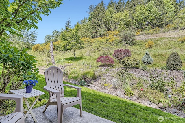 surrounding community featuring a patio