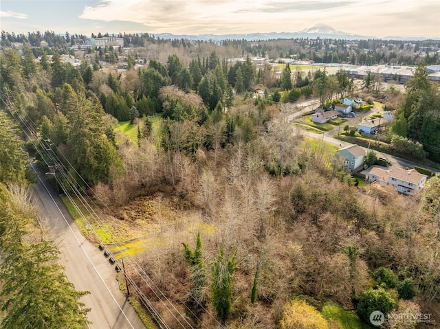 1915 S 222nd St, Seattle, WA 98198