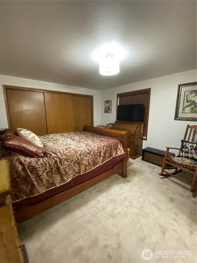 963 Hassalo Ave SE, Ocean Shores, WA 98569 - bedroom featuring light carpet and a closet