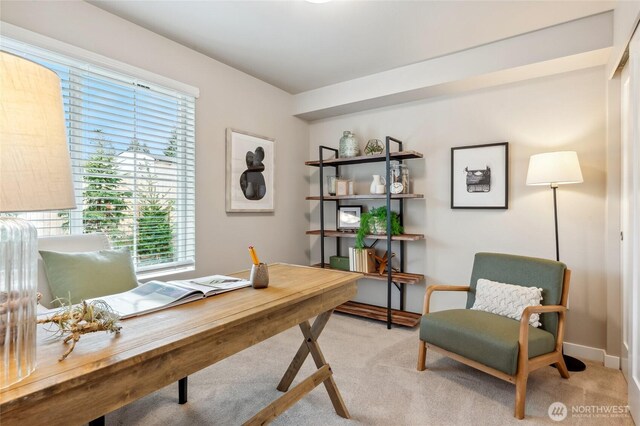 carpeted office featuring baseboards and a wealth of natural light