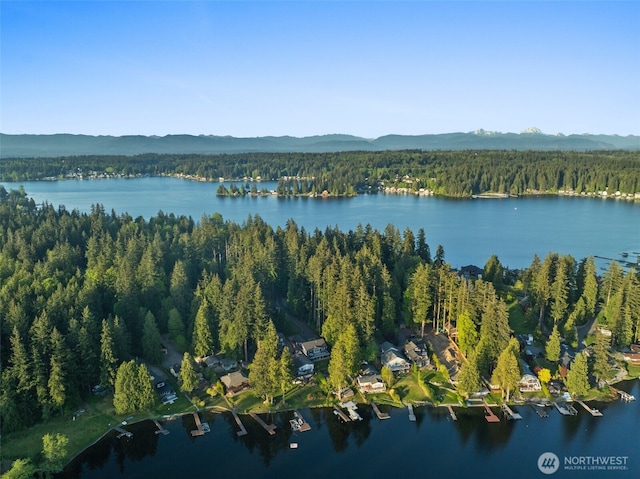 15430 Lakeview Ave, Stanwood, WA 98292 - photo 34