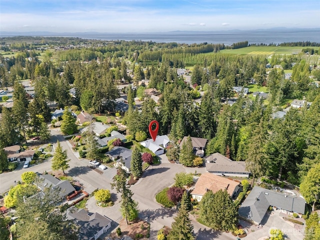 drone / aerial view with a water view and a residential view