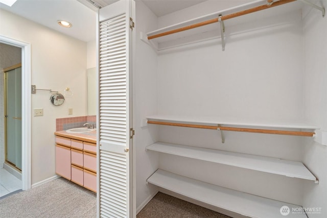 closet with a sink
