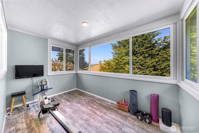6874 Golf View Dr, Lynden, WA 98264 - exercise area featuring plenty of natural light, wood finished floors, and baseboards