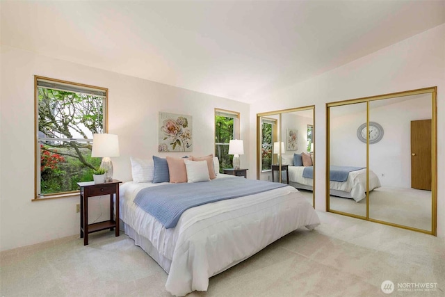 bedroom with multiple closets, carpet floors, and multiple windows
