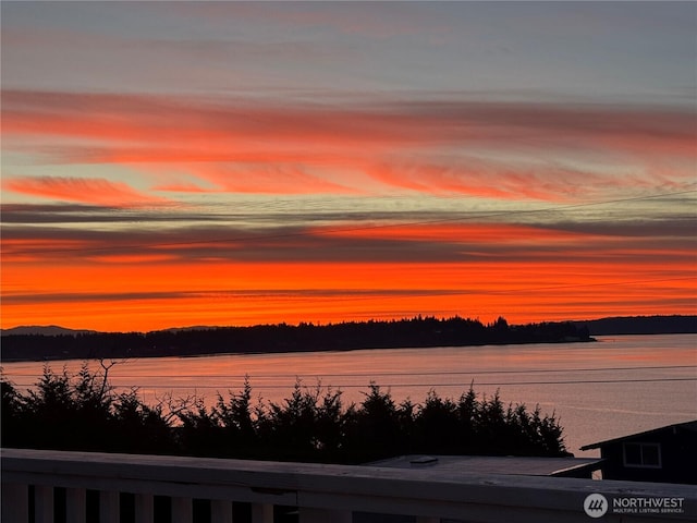 8123 178th Avenue Ct SW, Longbranch, WA 98351 - photo 7