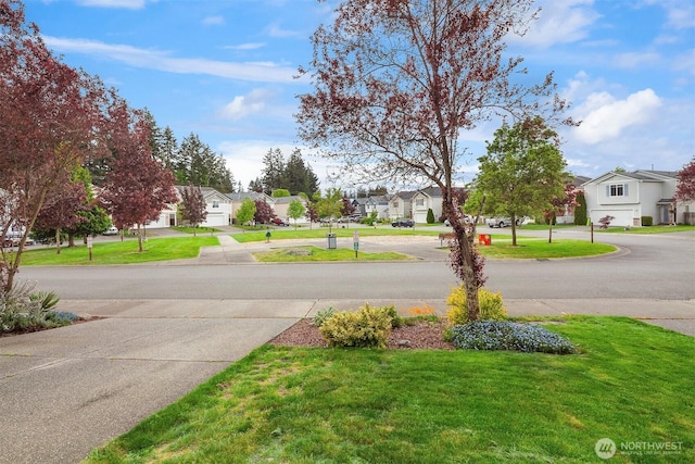 29058 215th Pl SE, Kent, WA 98042 - view of road with a residential view