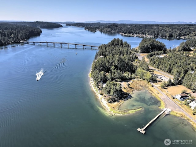 drone / aerial view of a water and mountain view and a heavily wooded area