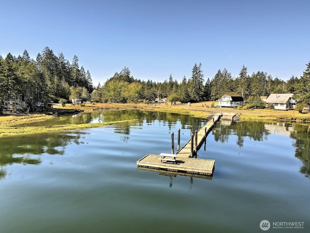 dock area with a water view and a forest view