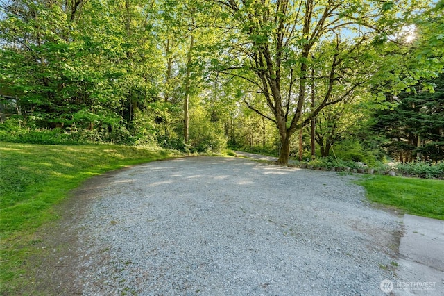view of road with a view of trees