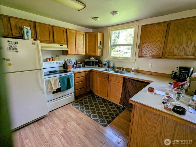 kitchen featuring white appliances, under cabinet range hood, brown cabinets, light wood-style floors, and light countertops