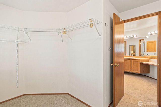 spacious closet with light colored carpet and a sink