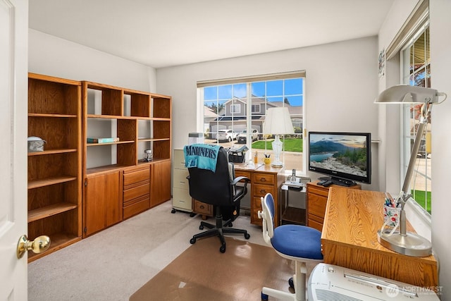19021 113th Way SE, Renton, WA 98055 - office space featuring light colored carpet