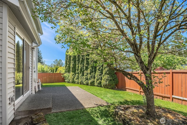 19021 113th Way SE, Renton, WA 98055 - view of yard featuring a patio