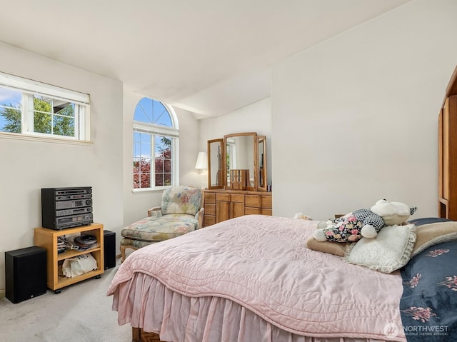 19021 113th Way SE, Renton, WA 98055 - bedroom with light carpet and vaulted ceiling