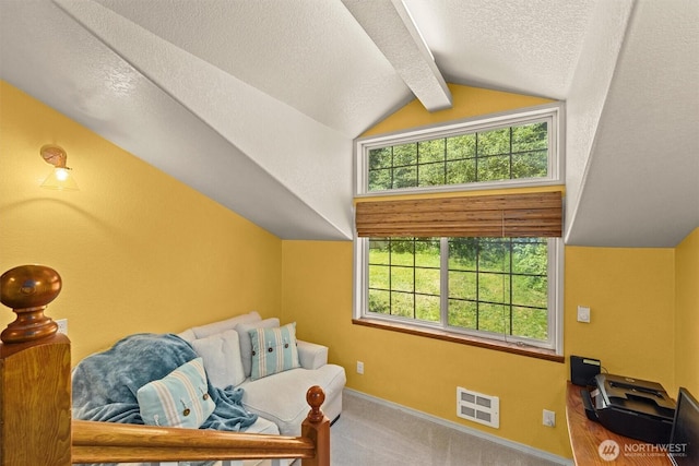 sitting room featuring a textured ceiling, baseboards, and carpet flooring