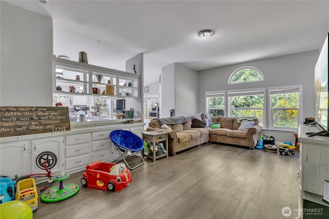 living room with wood finished floors
