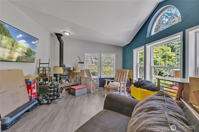 living area featuring a wood stove, plenty of natural light, vaulted ceiling, and wood finished floors
