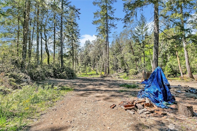 view of street with a view of trees