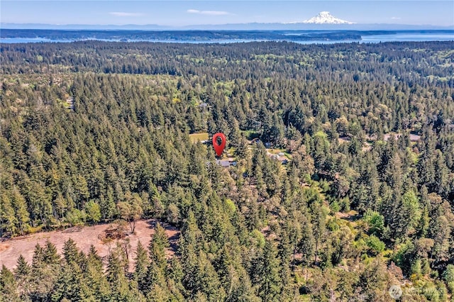 aerial view featuring a forest view