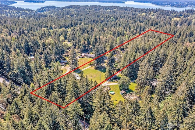 drone / aerial view with a wooded view and a water view