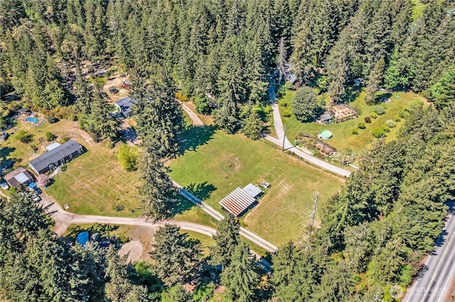 bird's eye view